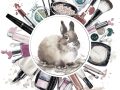 The California Cruelty-Free Cosmetics Act—What It Means for the Beauty Industry