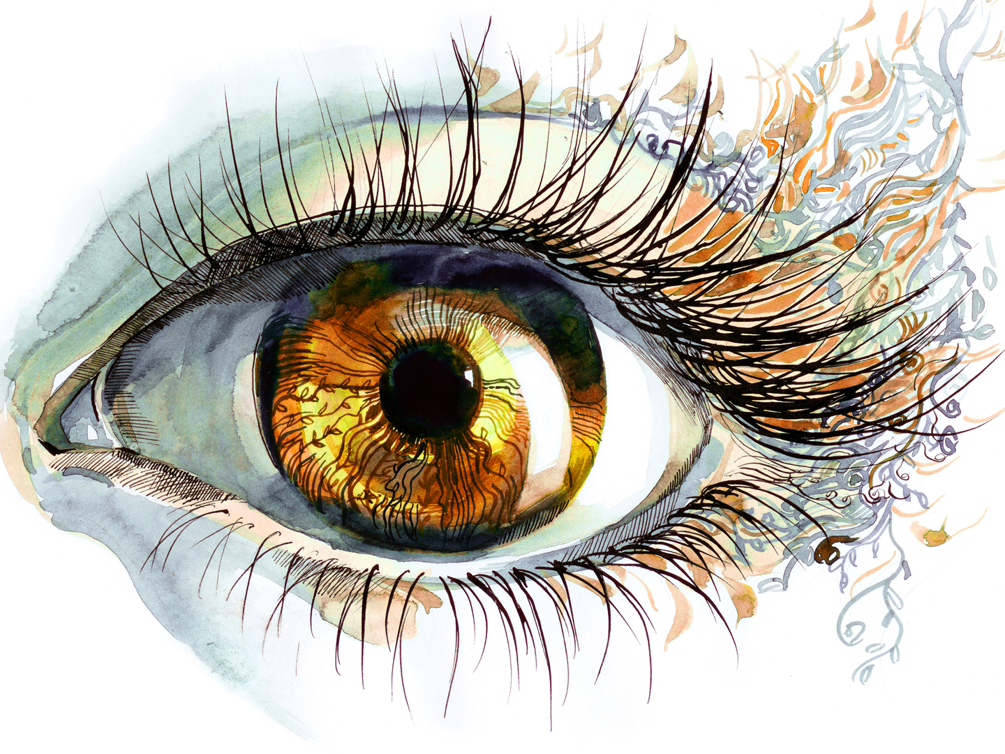 Natural Makeup for Brown Eyes to