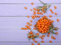 Guide to Sea Buckthorn Oil’s Research-Backed Health Benefits