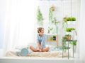 Best Bedroom Plants for At-Home Zen and Fresher Air