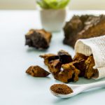 Chaga Mushroom Benefits