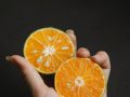 The Powerful Effects of Vitamin C